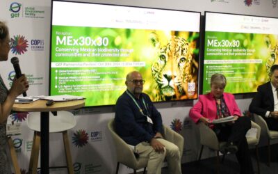 Celebra México en COP16 el inicio de MEx30x30, proyecto clave para la conservación de la biodiversidad