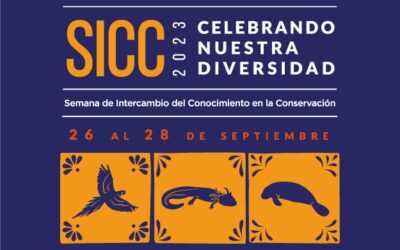 Una celebración de nuestra diversidad: SICC 2023