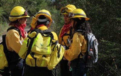 Consulta pública para el Proyecto de Modificación de la NOM-015-SEMARNAT/SAGARPA-2007