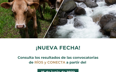 ¡Nueva fecha! Resultados de las convocatorias de RÍOS y CONECTA.
