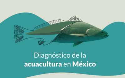 Diagnóstico de la Acuacultura en México