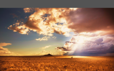 Metodología de monitoreo de la biodiversidad en sistemas ganaderos en Chihuahua