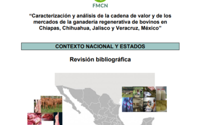 Caracterización y análisis de la cadena de valor y de los mercados de la ganadería regenerativa de bovinos en Chiapas, Chihuahua, Jalisco y Veracruz