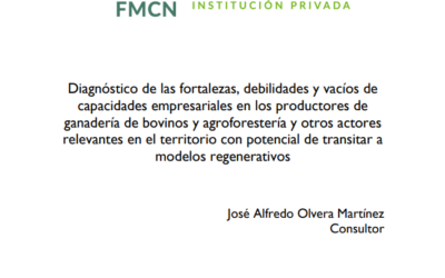 Diagnóstico de las fortalezas, debilidades y vacíos de capacidades empresariales en los productores de ganadería de bovinos y agroforestería y otros actores relevantes en el territorio con potencial de transitar a modelos regenerativos