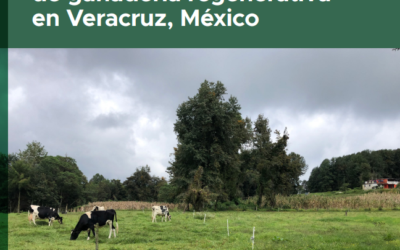 Diagnóstico ambiental y socioeconómico para la implementación de procesos de ganadería regenerativa en Veracruz