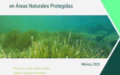 Protocolo para el monitoreo ecosistémico de pastos marinos en Áreas Naturales Protegidas