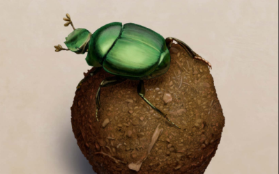 Guía de escarabajos estercoleros de Chiapas y el centro-sur de Veracruz