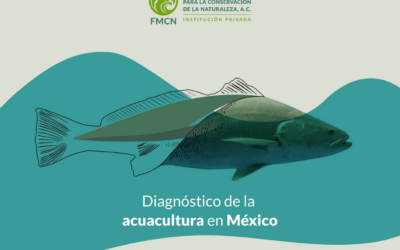 Diagnóstico de la acuacultura en México