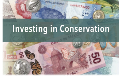 Investing in Conservation (Invirtiendo en la Conservación)