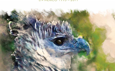 Análisis y propuestas para la conservación de la biodiversidad en México 1995-2017