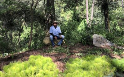 Estudio de caso Latimpacto