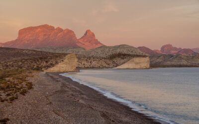 Nos sumamos a la celebración del Día Mundial del Medio Ambiente