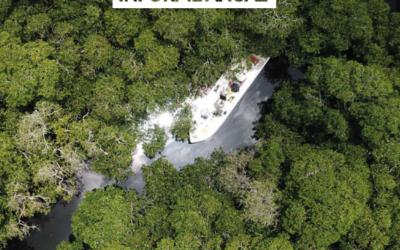 Nuestro Informe Anual 2022: un año de impacto y compromiso con la conservación