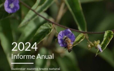 Tres décadas sustentando nuestro tesoro natural: Informe Anual 2024
