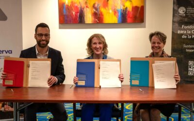 Nueva alianza estratégica: Conserva Aves expande sus esfuerzos de conservación a México